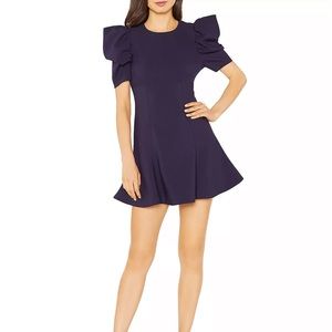 Likely Alia Puff-Sleeve A-Line Mini dress In Navy